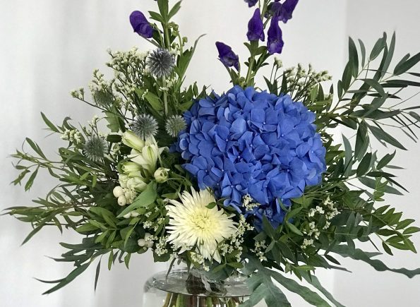 27BA97B7-0E17-48A2-B8E1-720147EDA544_1_201_a