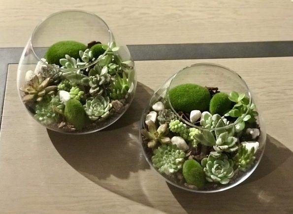 DB0F2C74-6B05-4A4A-987E-06C4895202FD_1_102_a